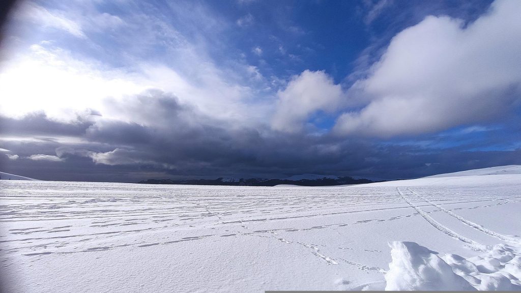 何も考えない状態は作れるのか？【DAY116】